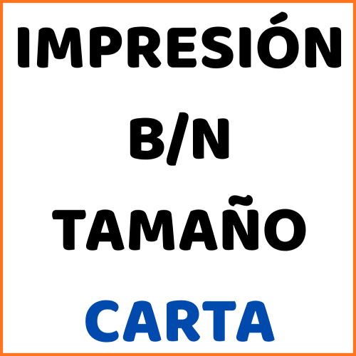 Impresion B/N tamaño Carta